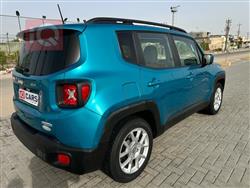 جيب رينيجيد